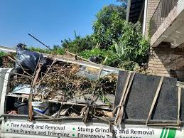 Best Hoarding Cleanup  in Medford Lakes, NJ